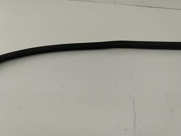 Lexus IS300 Rear Left Door Moulding