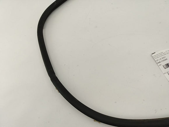 Lexus IS300 Rear Left Door Moulding