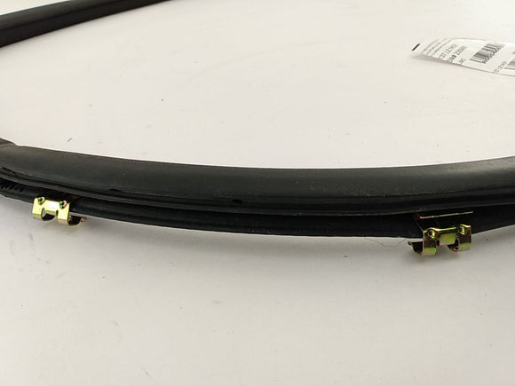 Lexus IS300 Rear Left Door Moulding