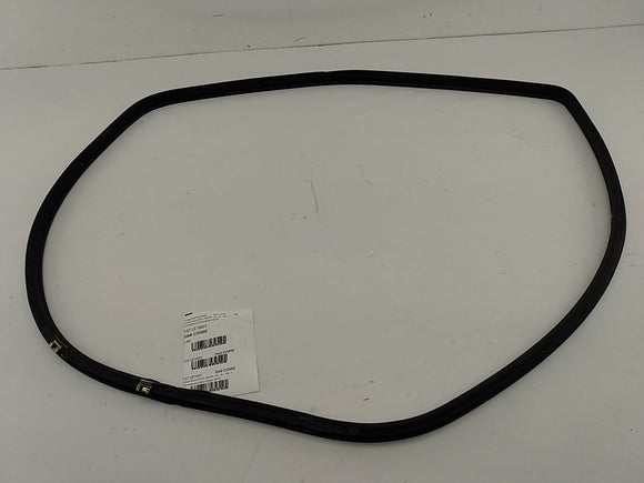 Lexus IS300 Rear Left Door Moulding