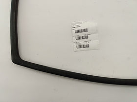 Lexus IS300 Rear Right Door Moulding - 0