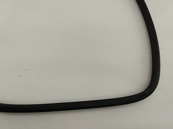 Lexus IS300 Rear Right Door Moulding
