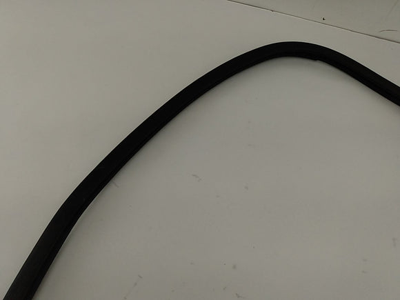 Lexus IS300 Rear Right Door Moulding