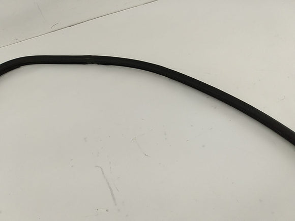 Lexus IS300 Rear Right Door Moulding