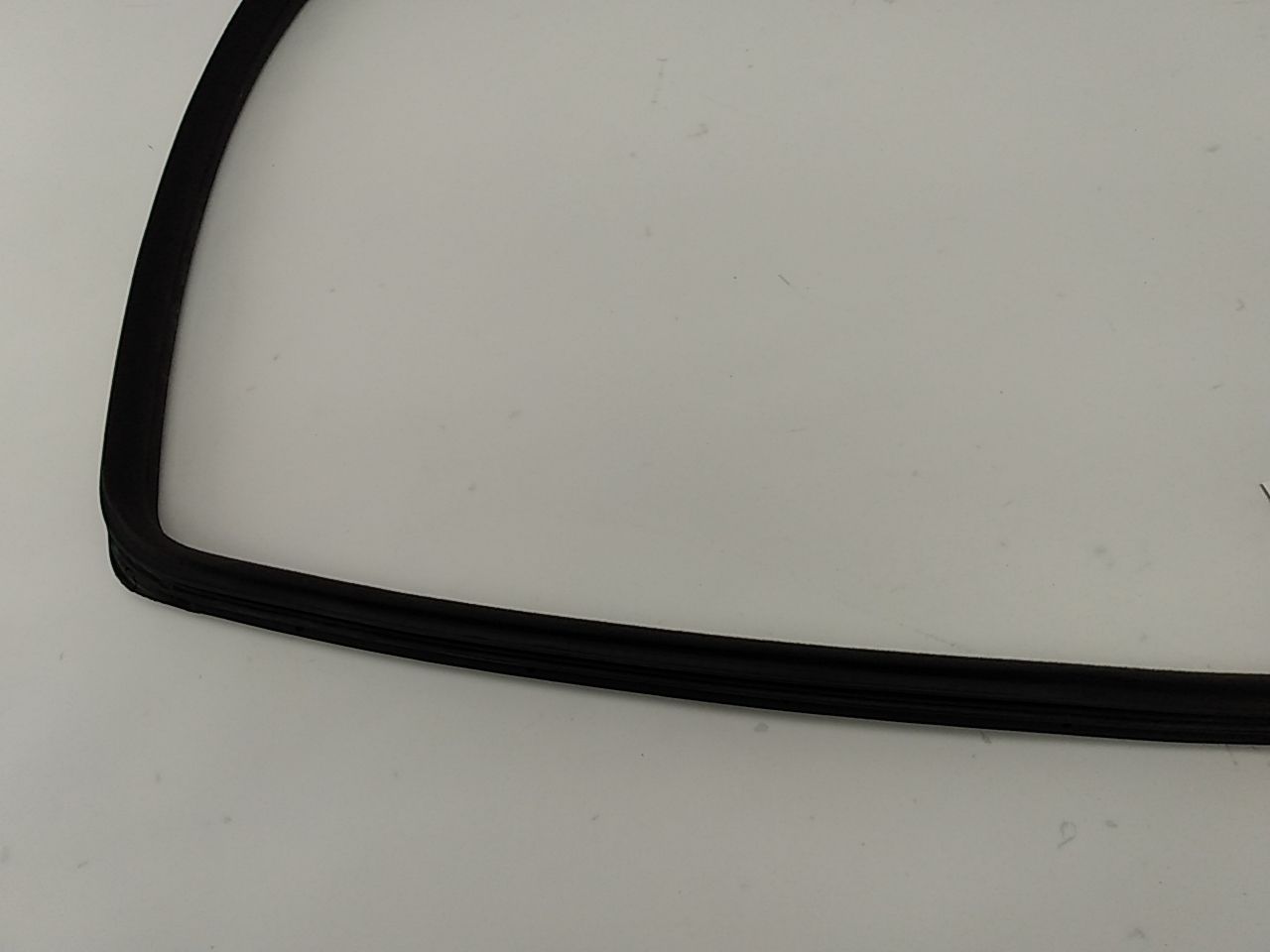 Lexus IS300 Rear Right Door Moulding