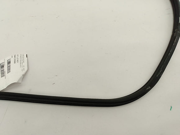 Lexus IS300 Rear Right Door Moulding