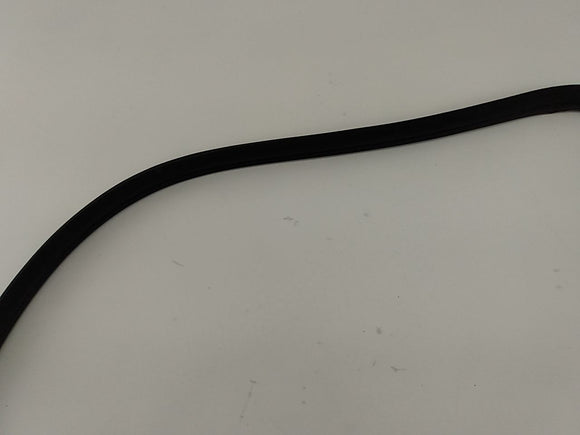 Lexus IS300 Rear Right Door Moulding