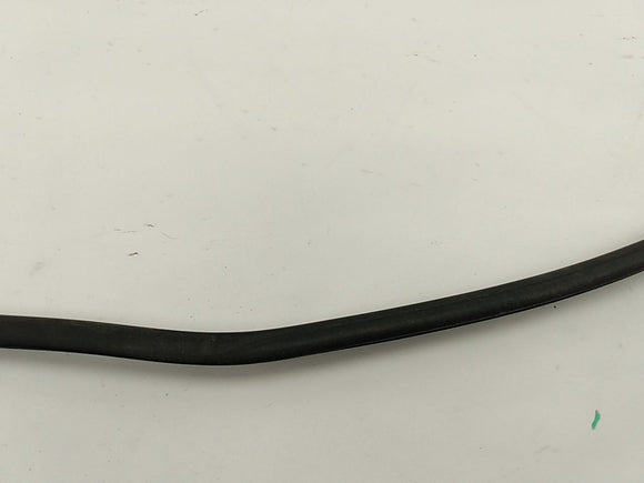 Lexus IS300 Front Right Door Moulding