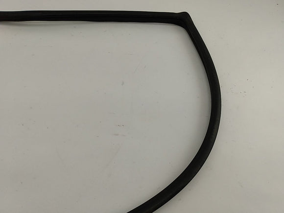 Lexus IS300 Front Right Door Moulding