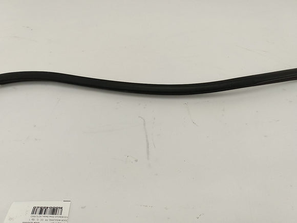 Lexus IS300 Front Right Door Moulding