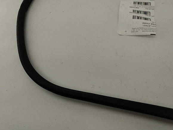 Lexus IS300 Front Right Door Moulding