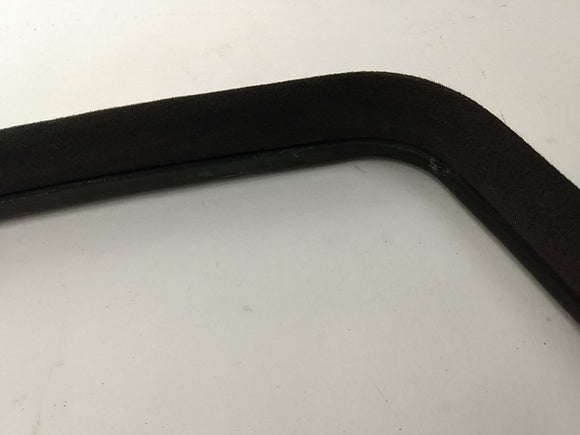 Lexus IS300 Front Right Door Moulding