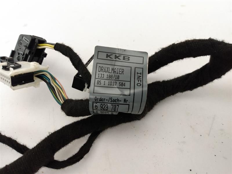 BMW 745I Rear Left Door Harness