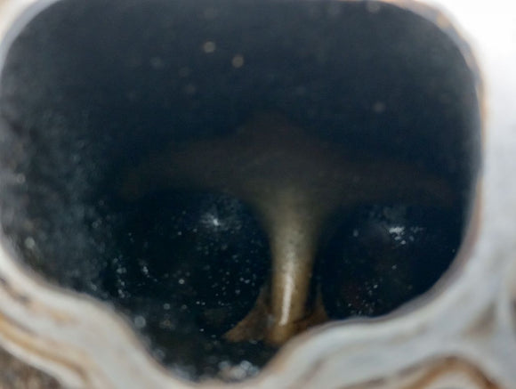 Mercedes SL500 Right Cylinder Head