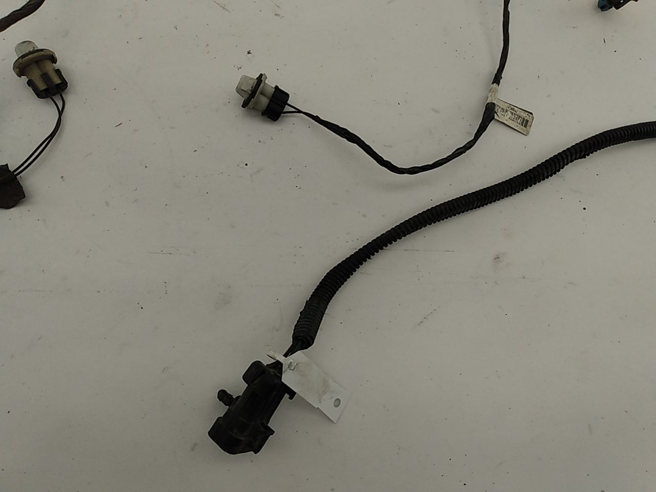 Chevrolet Corvette Rear Bumper Wire Harness