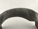 Pontiac Firebird Front Right Fender Liner-4