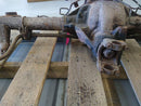 Pontiac Firebird Rear Axle Assembly-10