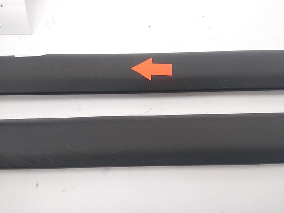 Scion TC Pair Of Door Sill Scuff Panels