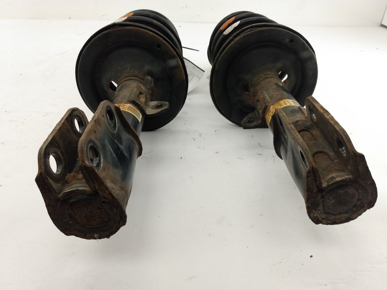 Scion TC Pair Of Front Struts