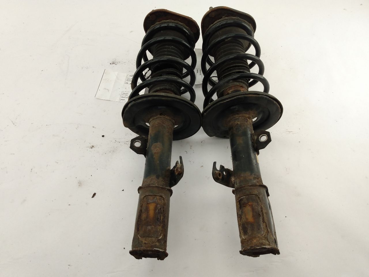 Scion TC Pair Of Front Struts