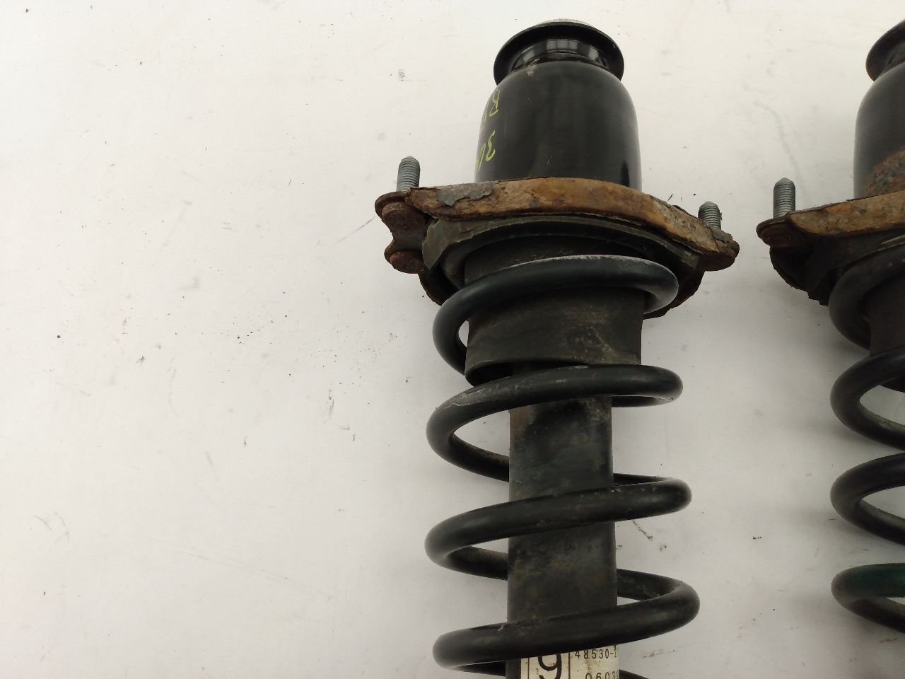 Scion TC Pair Of Rear Struts