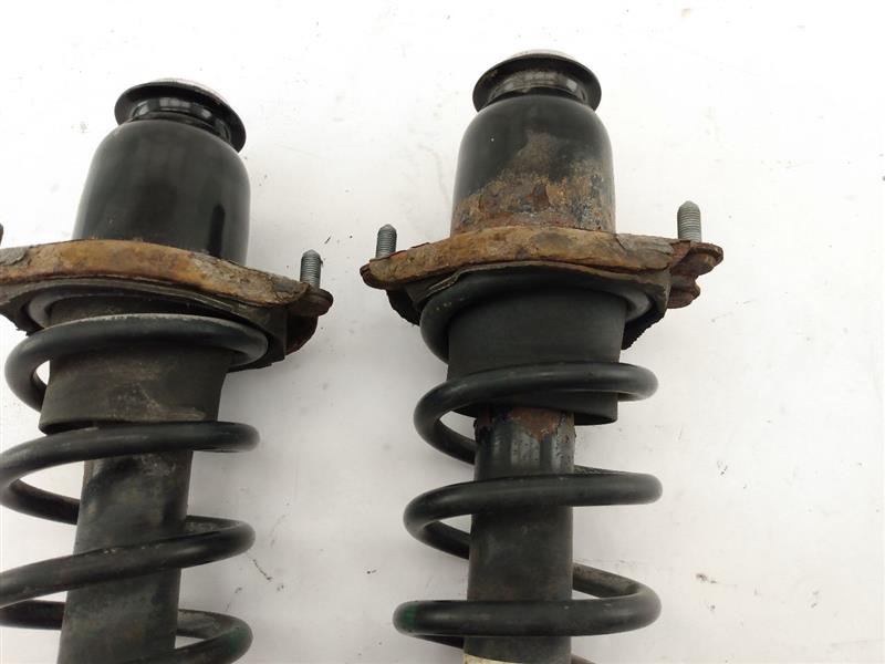 Scion TC Pair Of Rear Struts