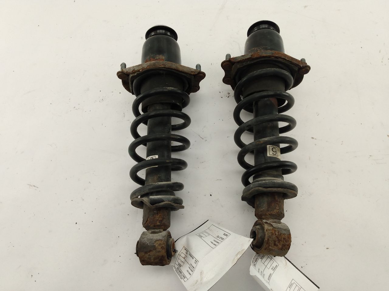 Scion TC Pair Of Rear Struts