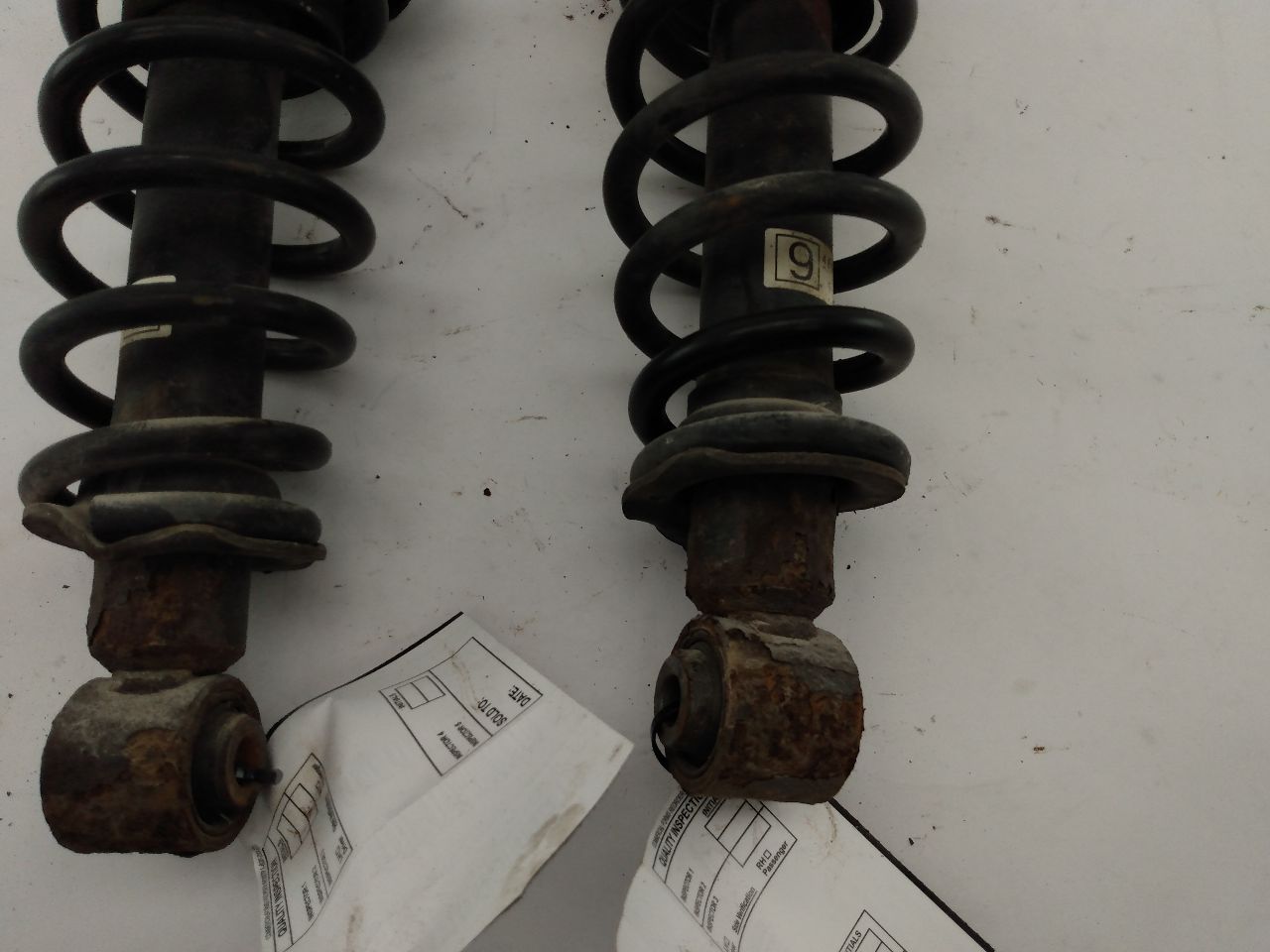 Scion TC Pair Of Rear Struts