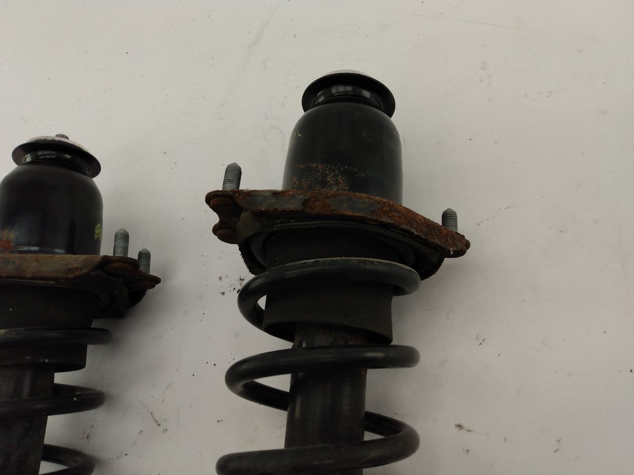 Scion TC Pair Of Rear Struts