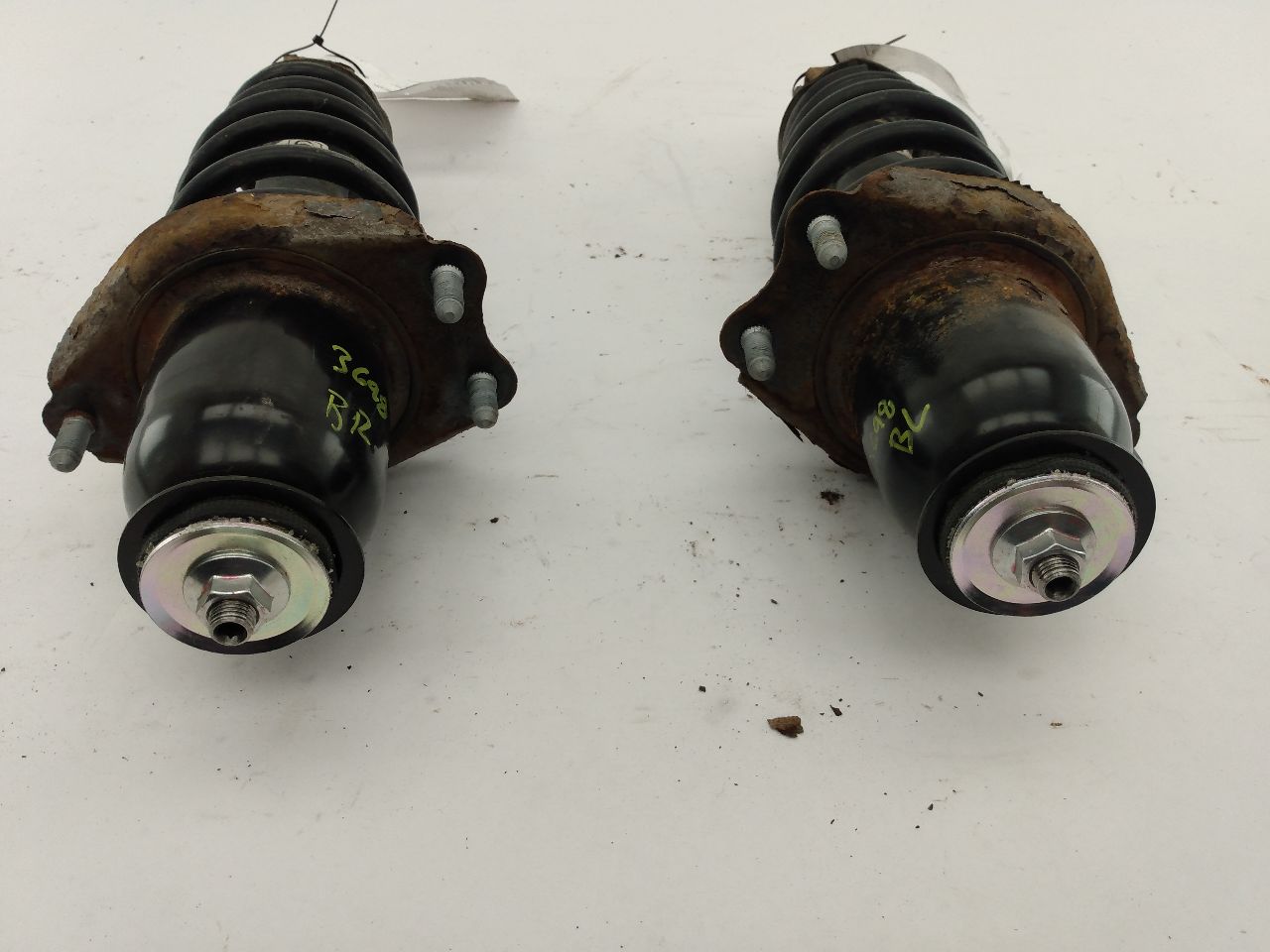 Scion TC Pair Of Rear Struts