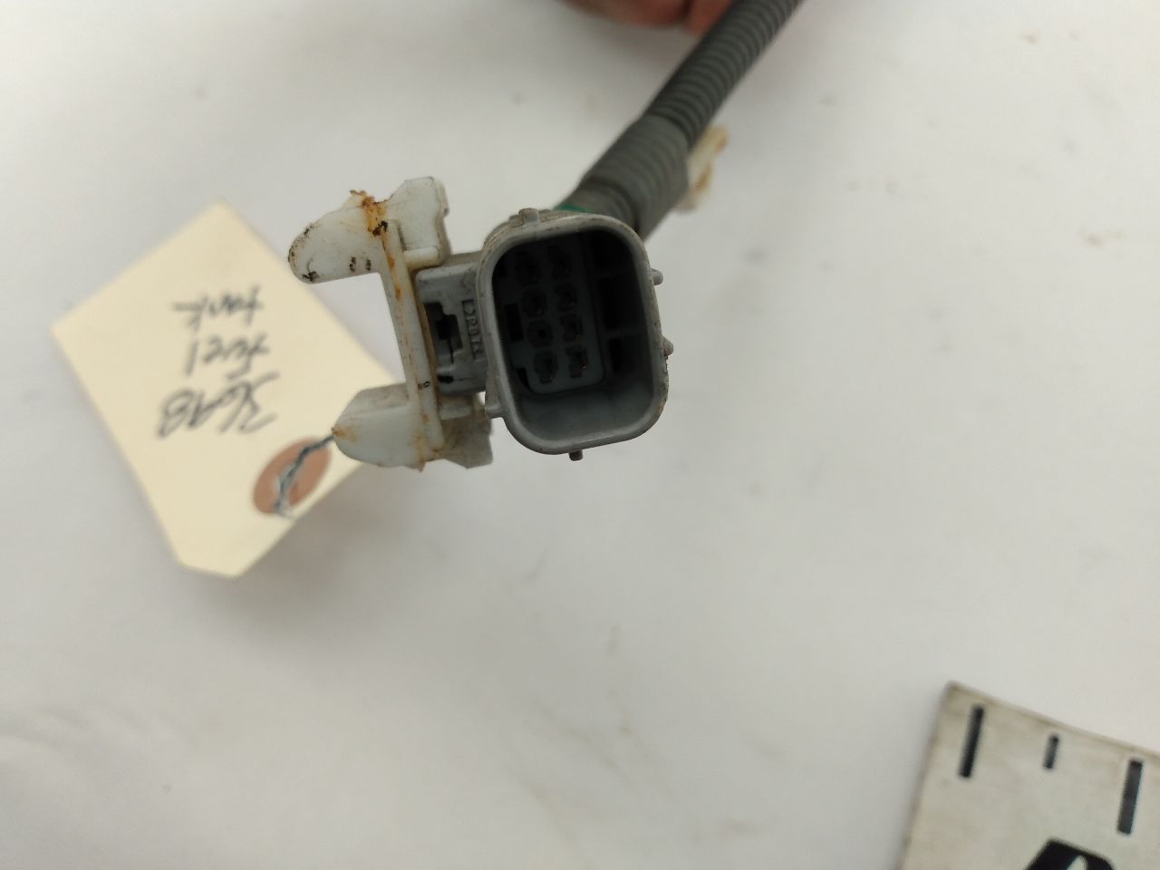 Scion TC Fuel Tank Wire Harness