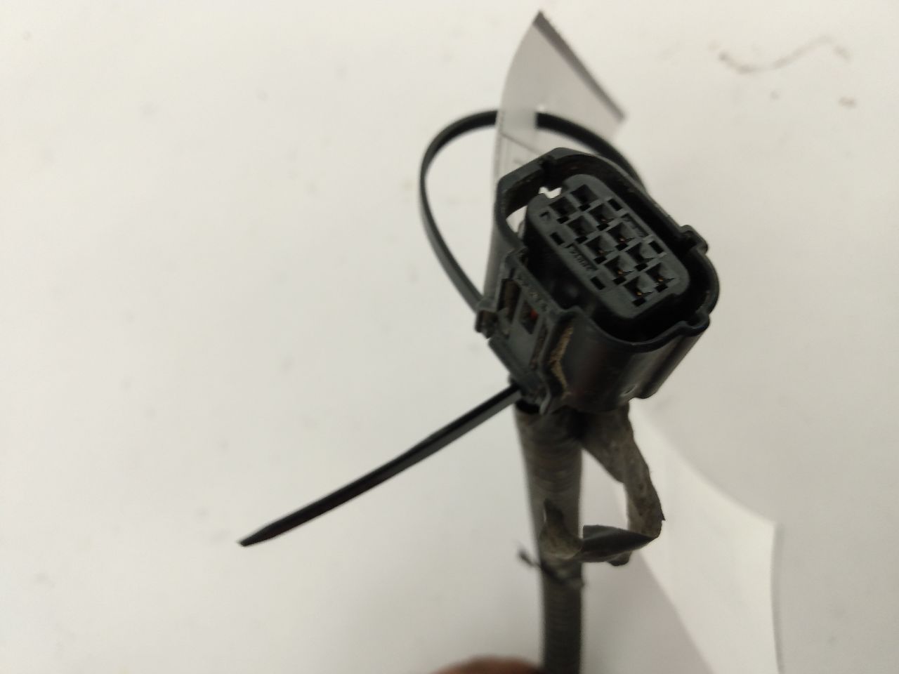 Scion TC Fuel Tank Wire Harness