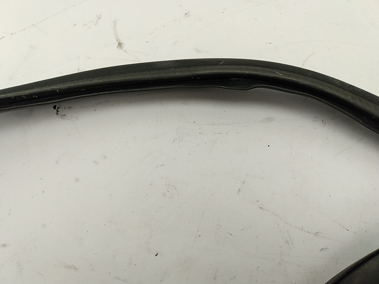 BMW 525I Trunk Seal