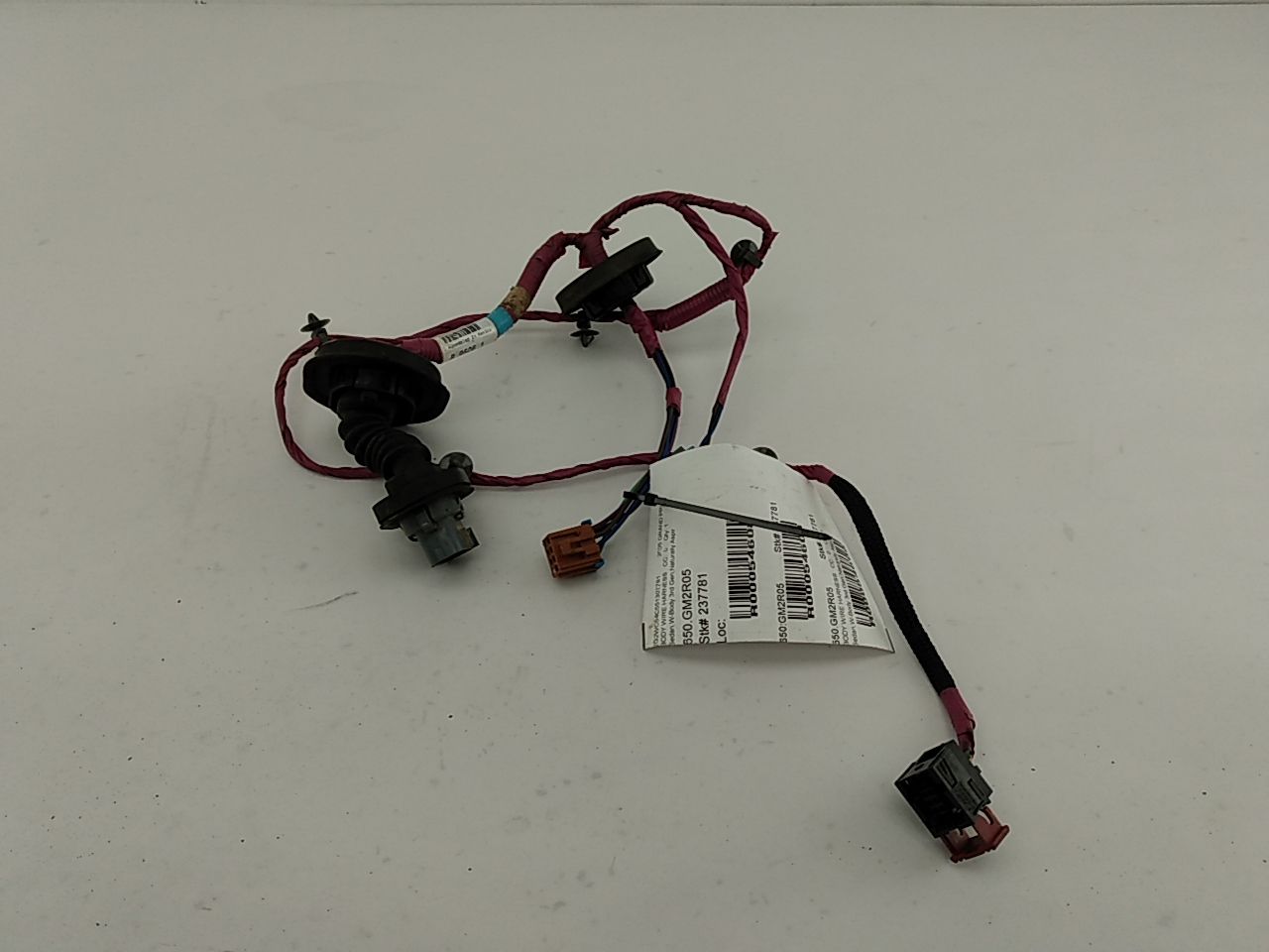 Pontiac Grand Prix Rear Right Door Wire Harness - 0
