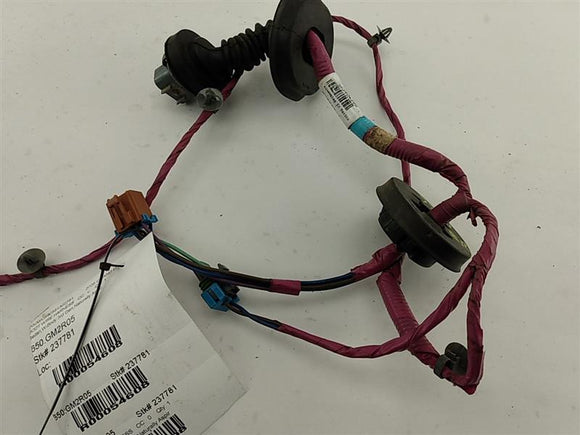 Pontiac Grand Prix Rear Right Door Wire Harness