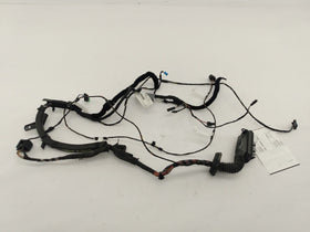 BMW 650I Front Right Door Wire Harness - 0