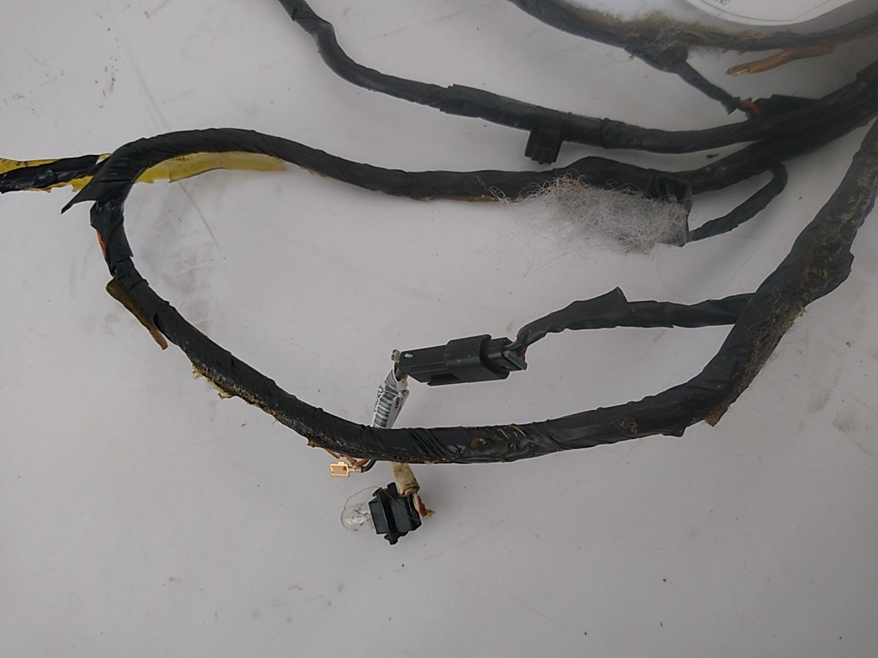 Pontiac Grand Prix Head Light Wire Harness