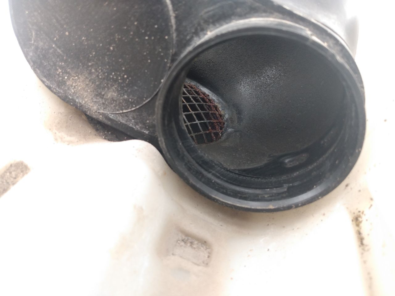Honda Prelude Secondary Air Cleaner