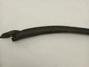 Volkswagen Eos Trunk Seal-3