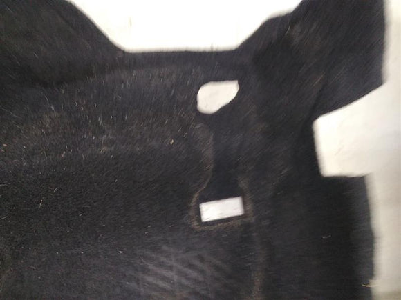 Volkswagen Eos Front Carpet