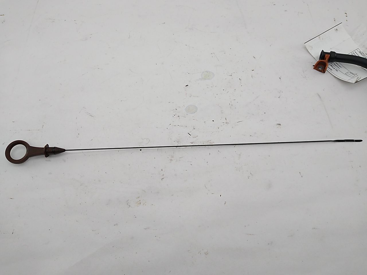 Volkswagen Eos Oil Dipstick