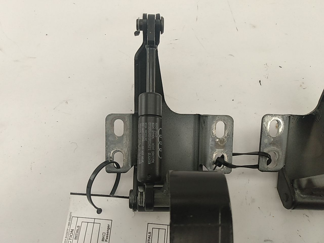 Audi Cabriolet Pair of Trunk Lid Hinges - Left and Right