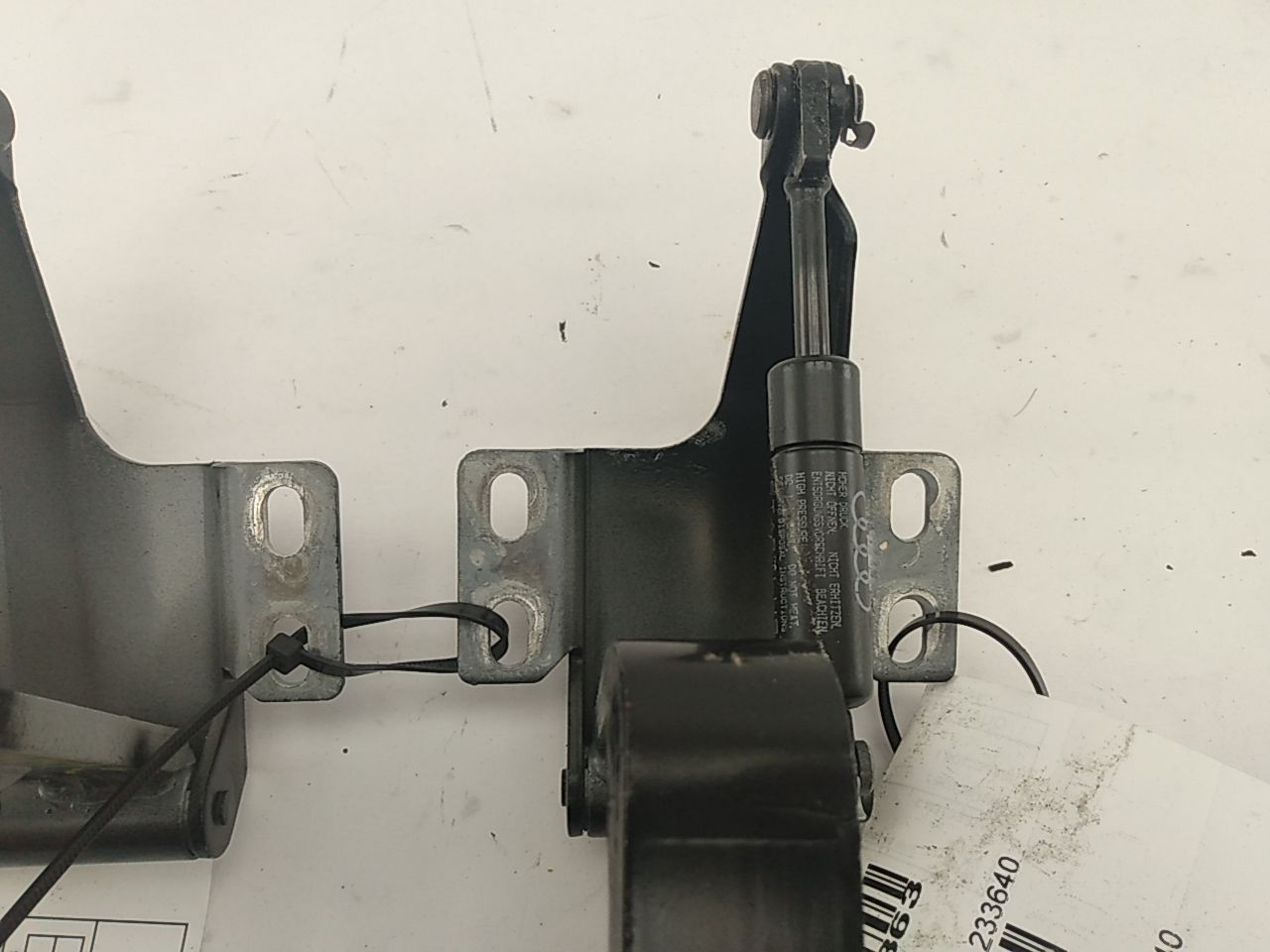 Audi Cabriolet Pair of Trunk Lid Hinges - Left and Right