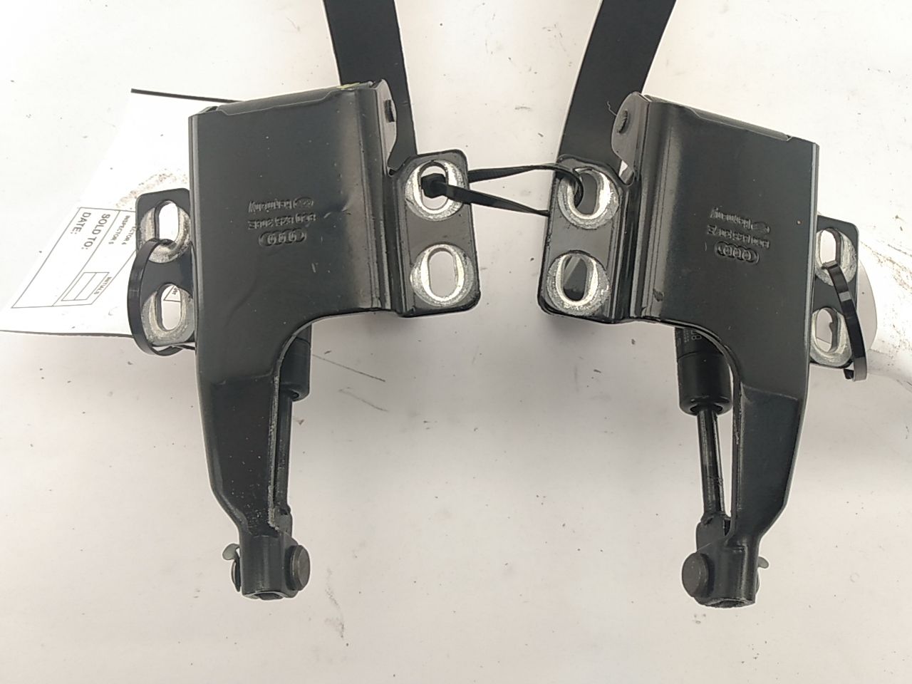 Audi Cabriolet Pair of Trunk Lid Hinges - Left and Right