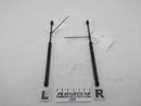 Cadillac Allante Pair of Trunk Struts-1