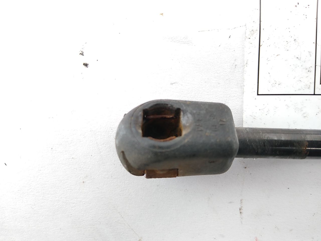 Cadillac Allante Pair of Trunk Struts