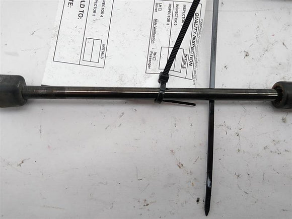 Cadillac Allante Pair of Trunk Struts