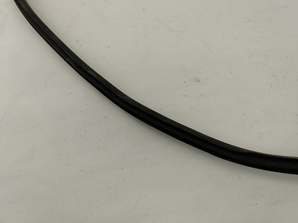 Acura RSX Front Right Door Seal
