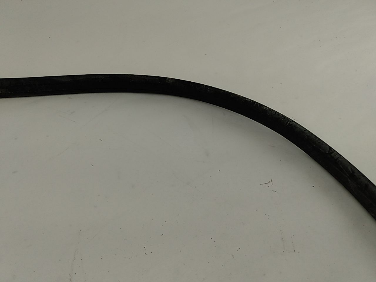 Acura RSX Front Right Door Seal