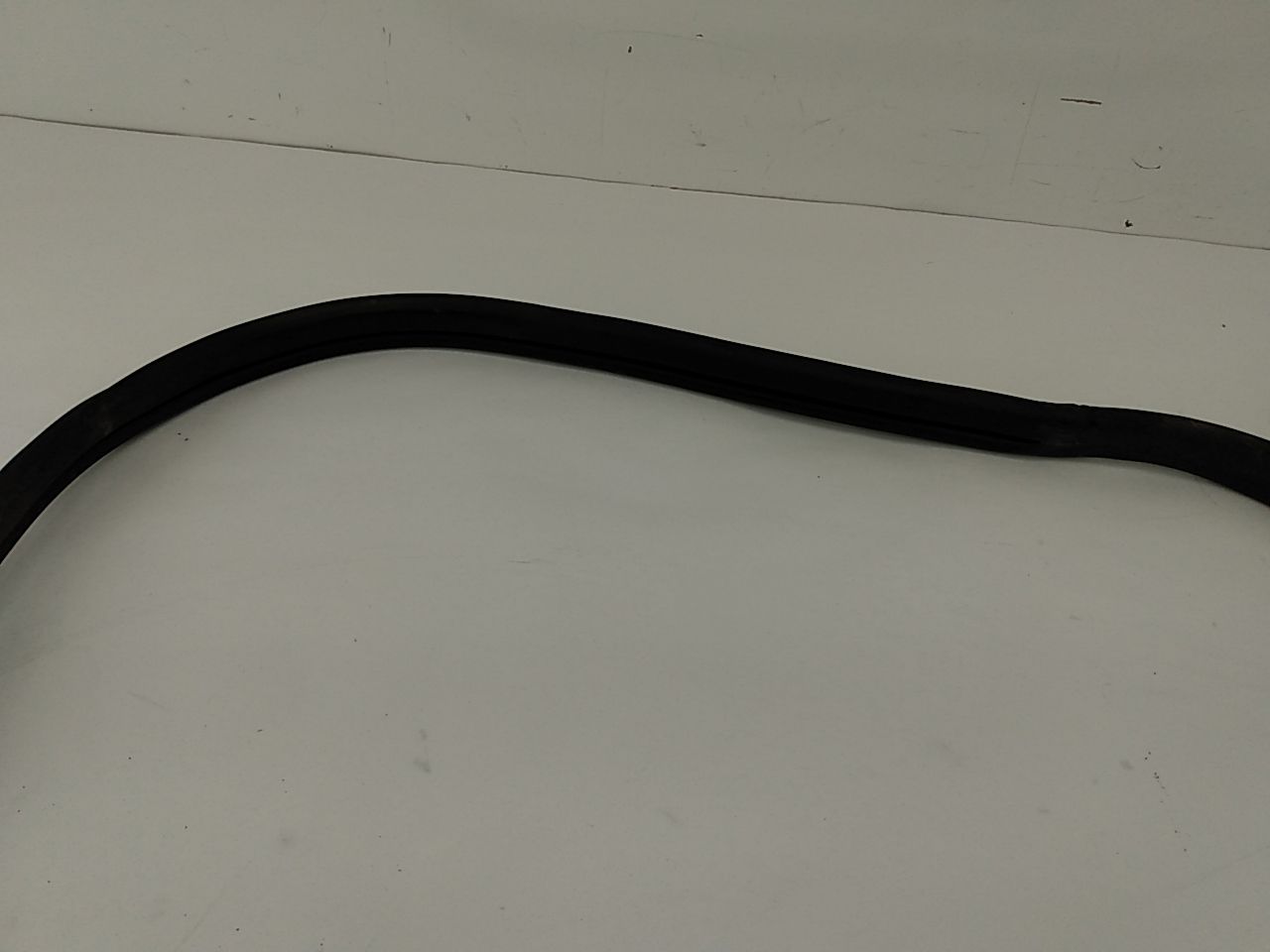 Acura RSX Front Right Door Seal